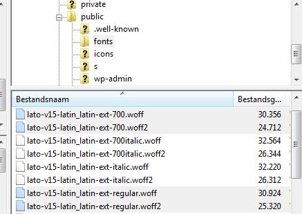 WordPress İçin Google Font Optimizasyonu Nasıl Yapılır