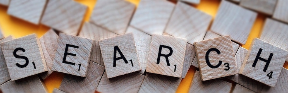 En İyi 5 Ücretsiz WordPress Arama Eklentisi